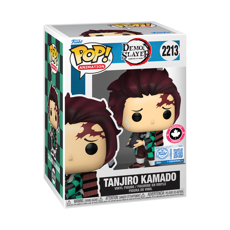 Tanjiro Kamado with Crow
